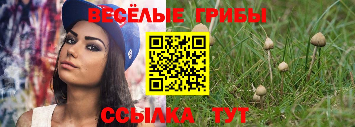 Псилоцибиновые грибы Psilocybine cubensis  Вход с VPN  Псилоцибиновые грибы Cubensis  Кимры 